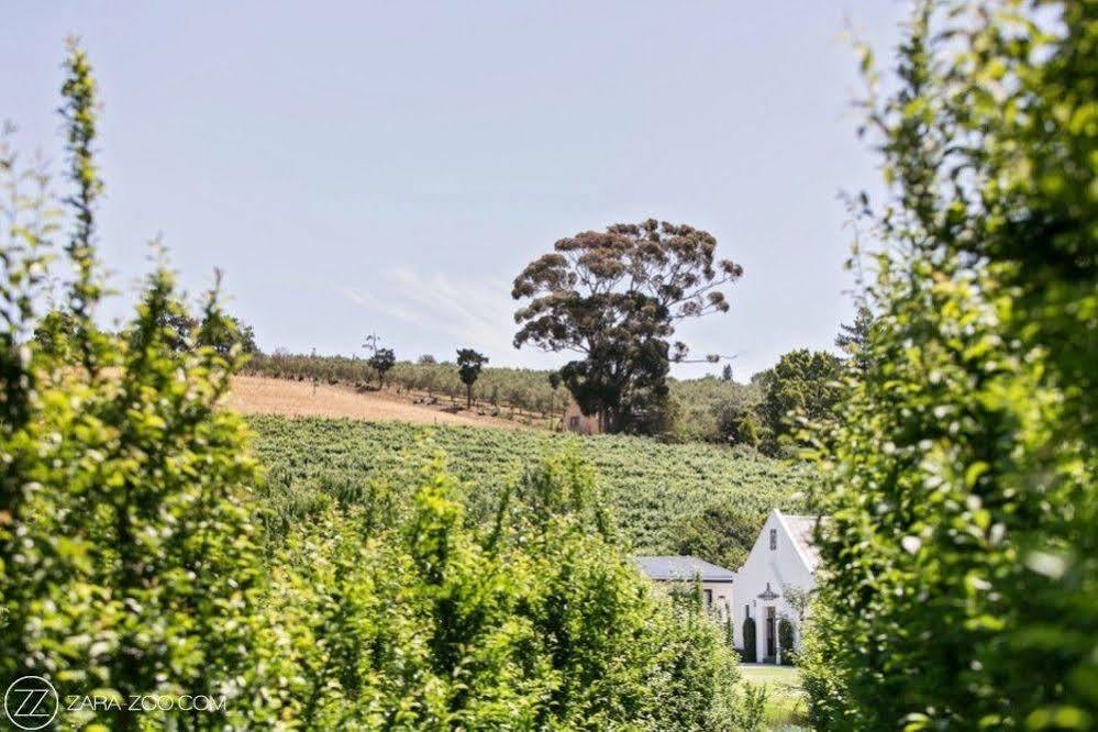 Hotel Brenaissance Wine & Stud Estate Stellenbosch Exterior foto